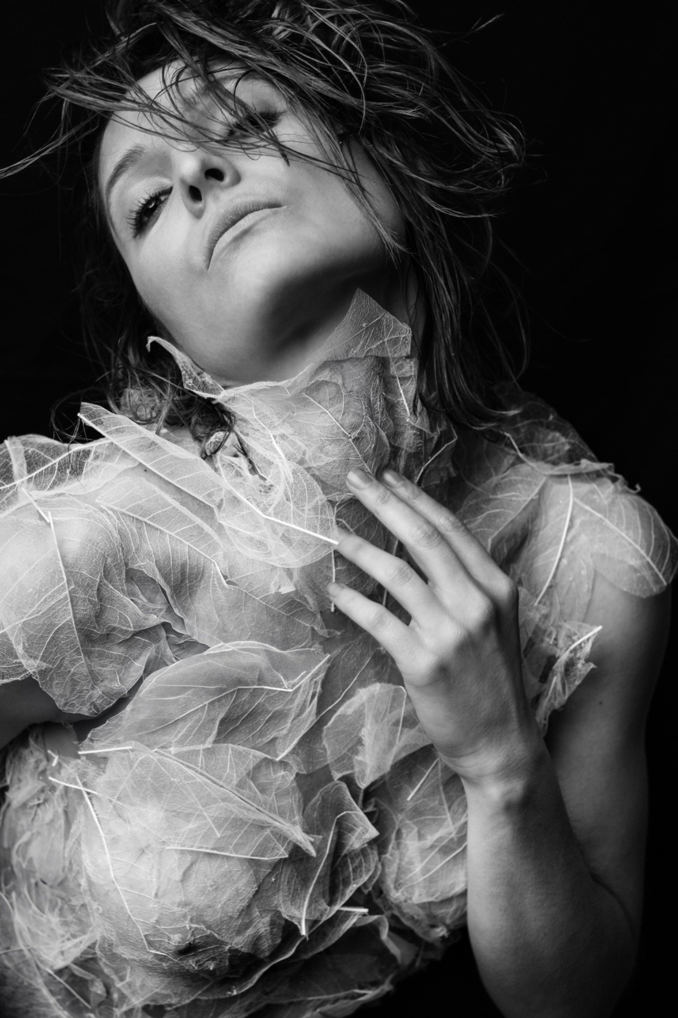 Photography image titled DSC03668