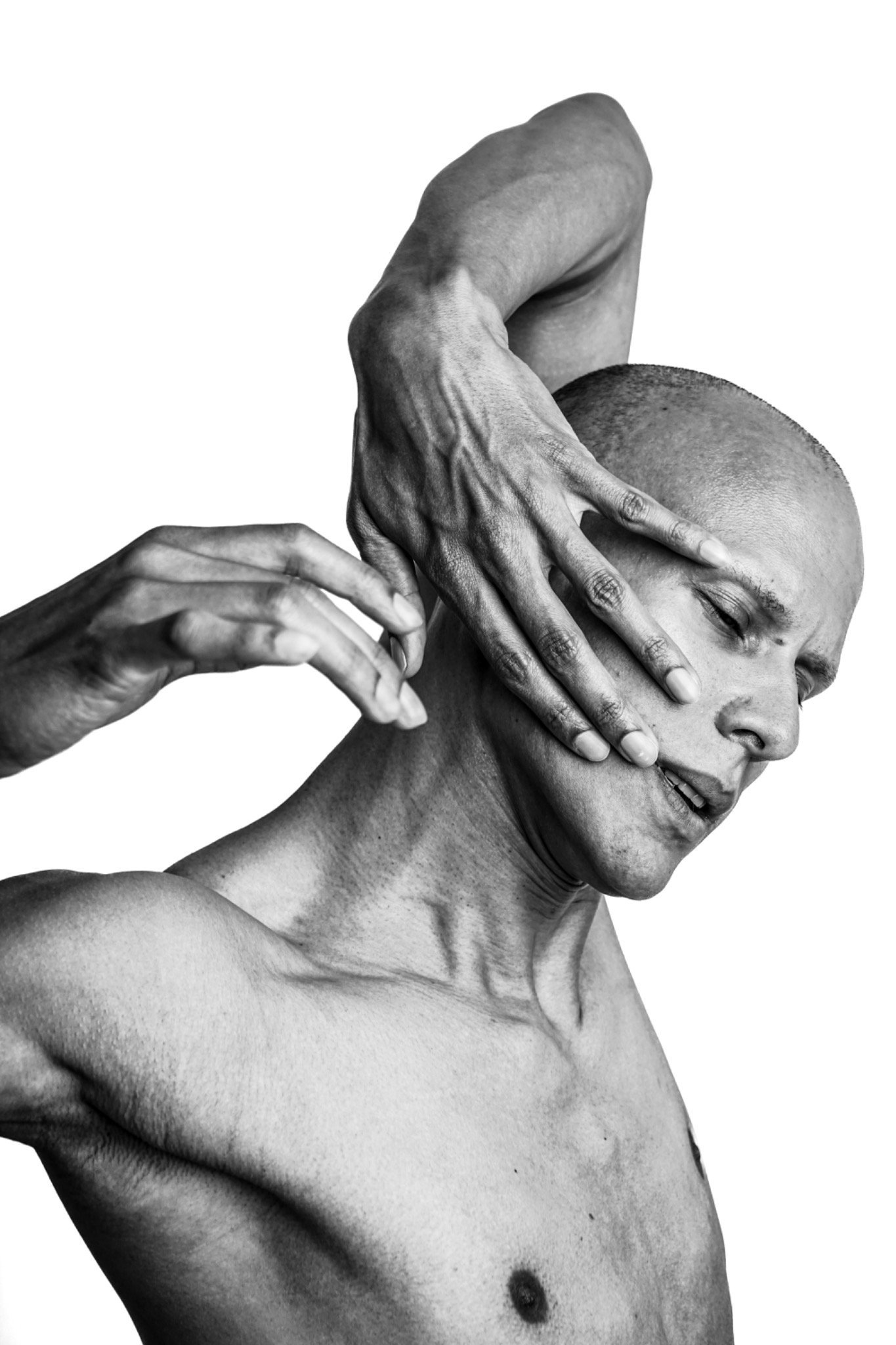 Photography image titled DSC04208