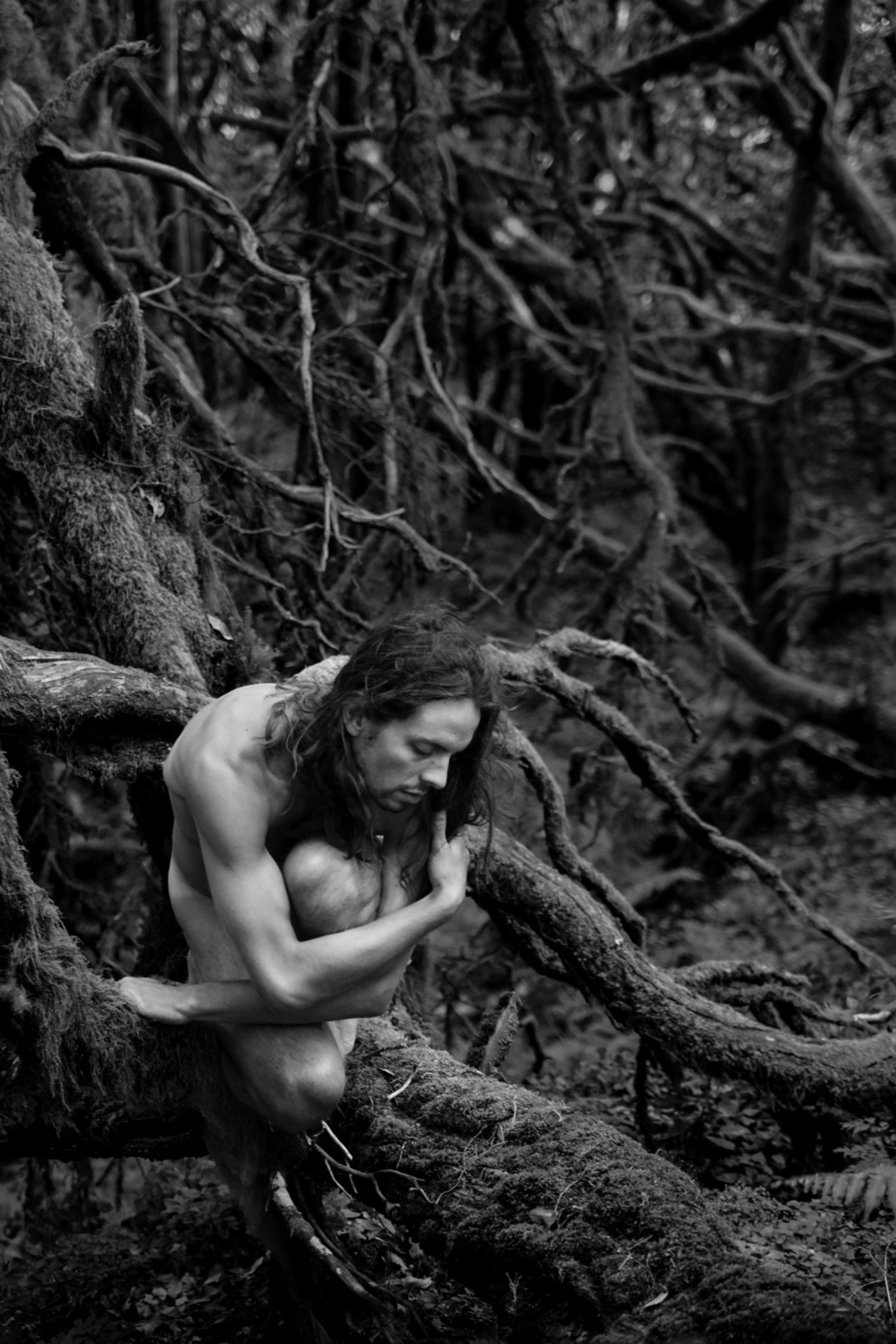 Photography image titled DSC01395