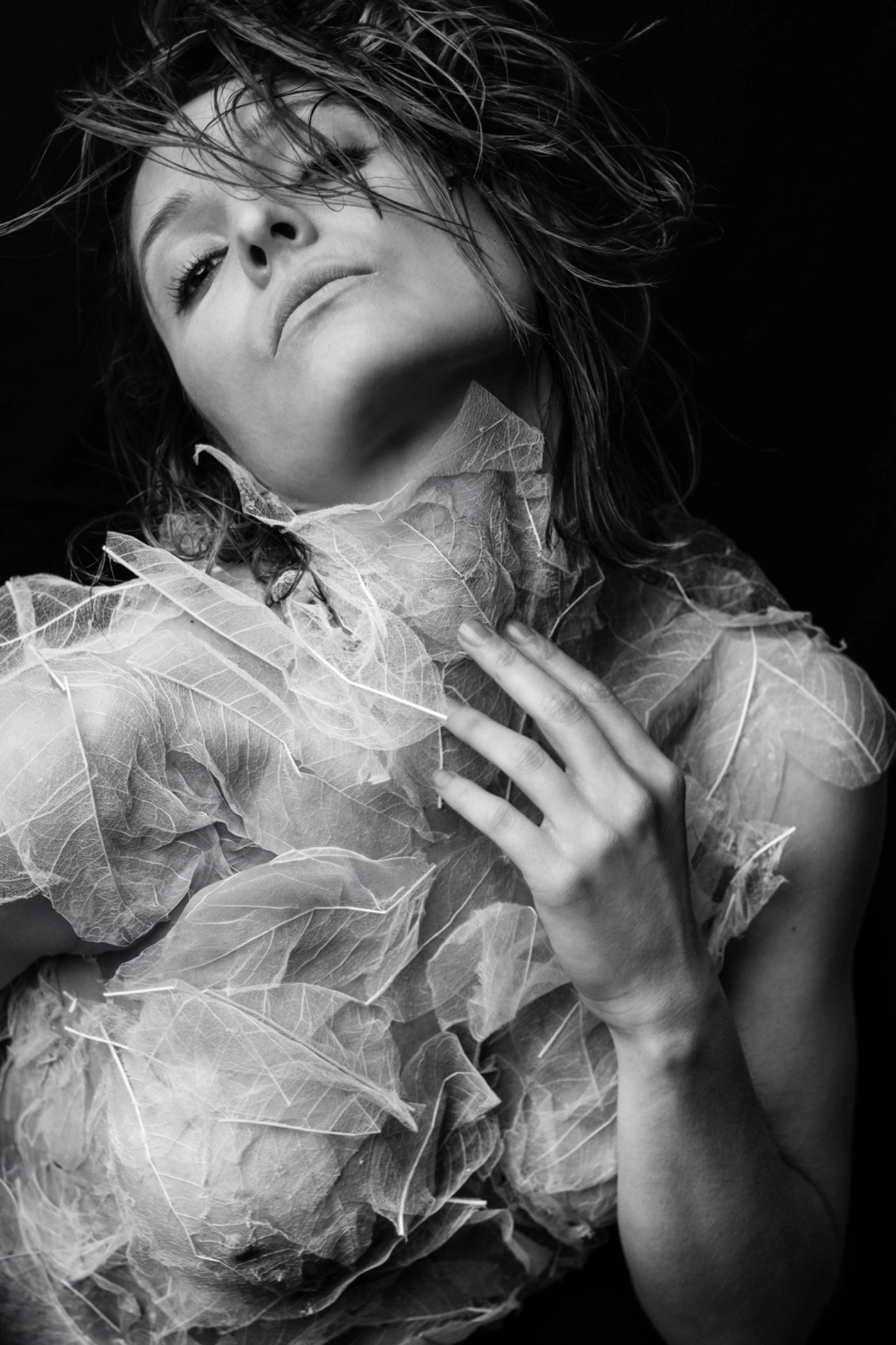 Photography image titled DSC03668