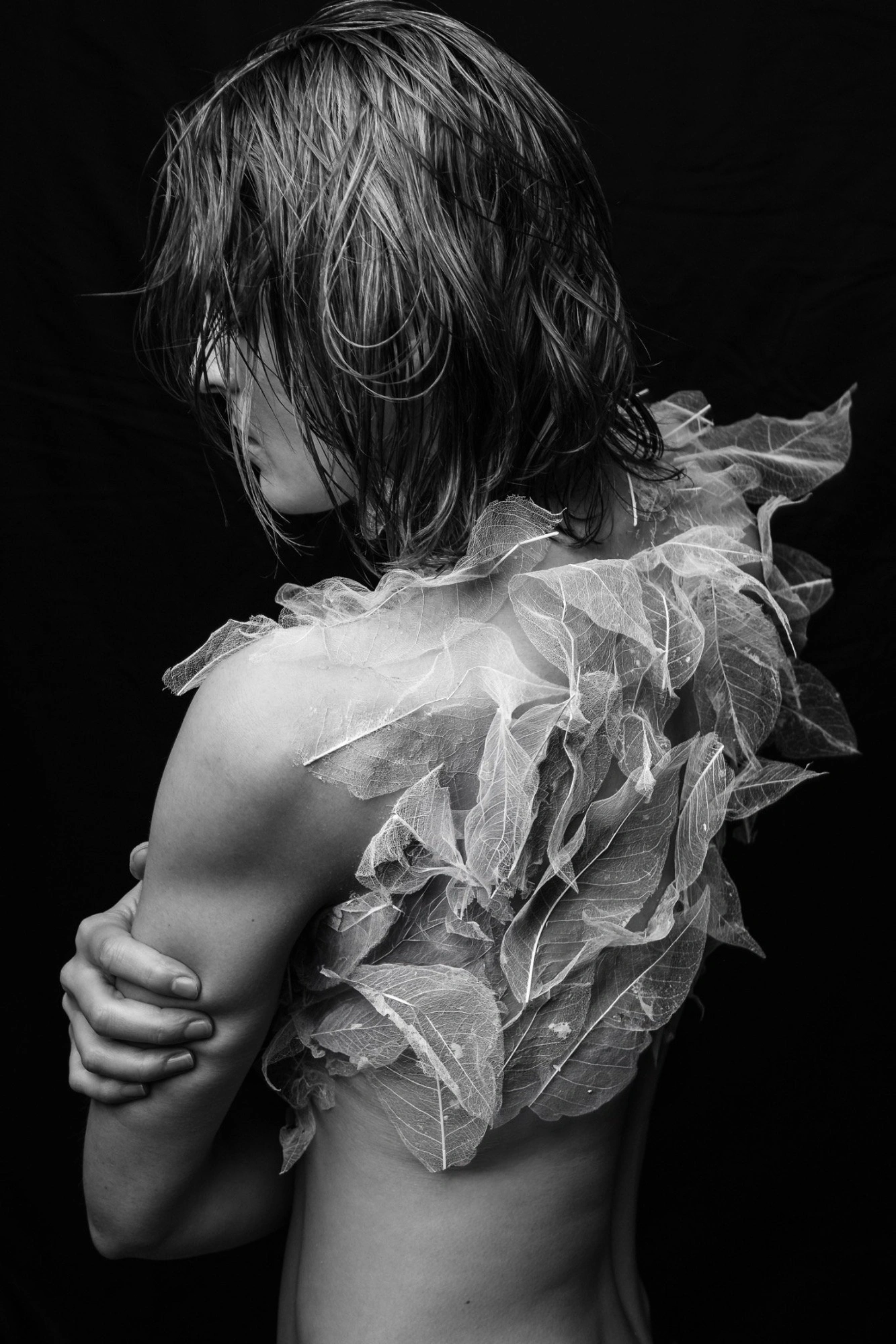 Photography image titled DSC04029