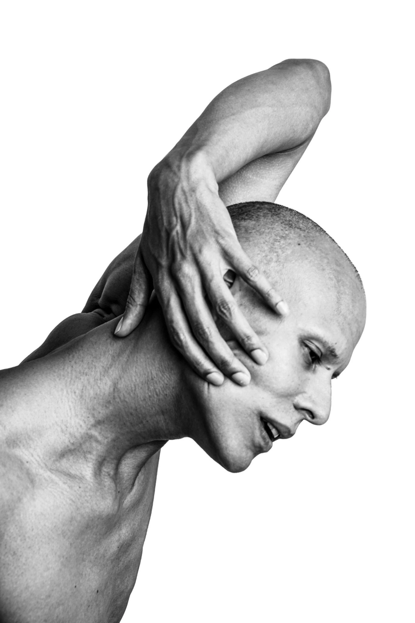 Photography image titled DSC04209