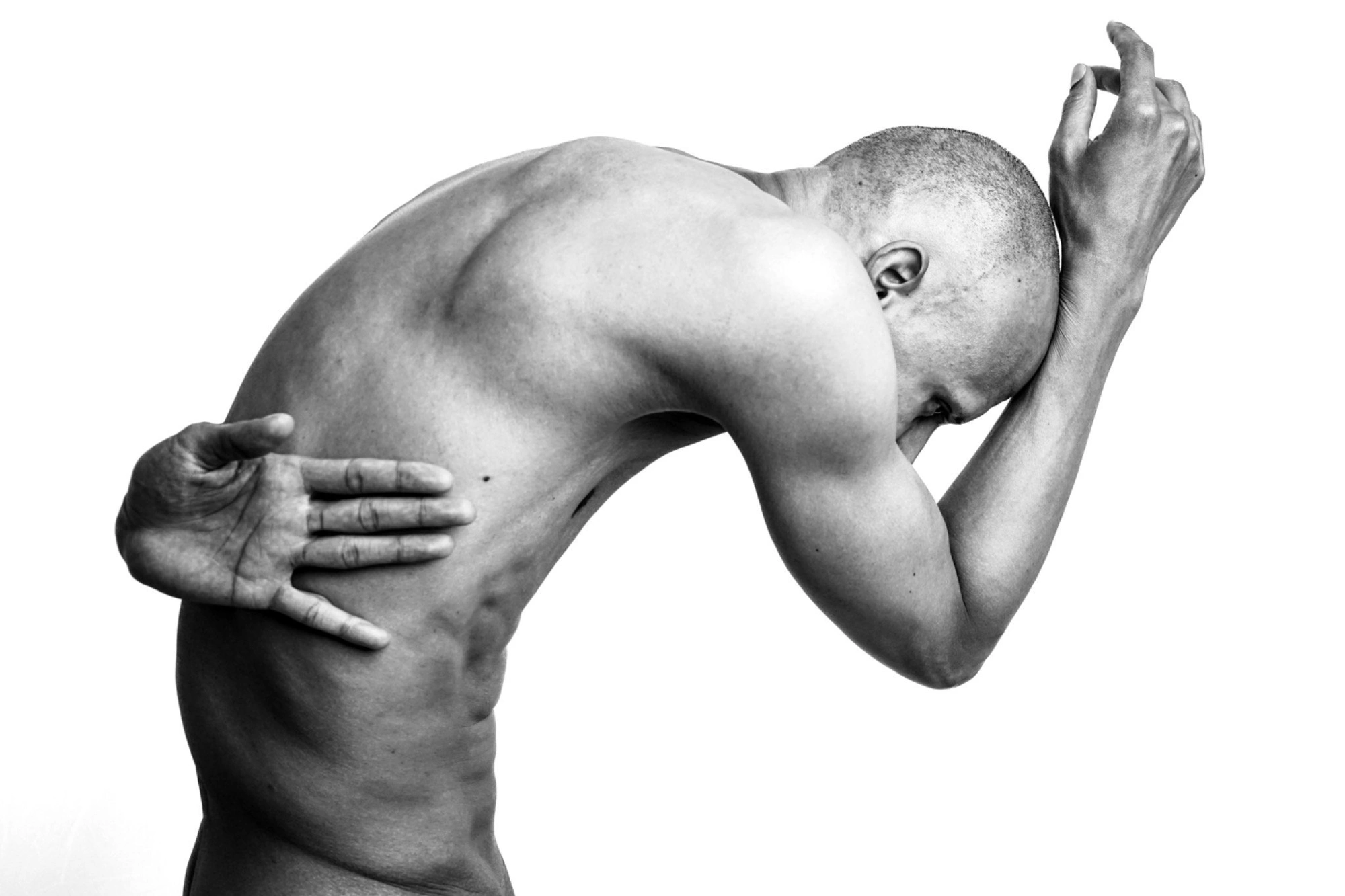 Photography image titled DSC04536