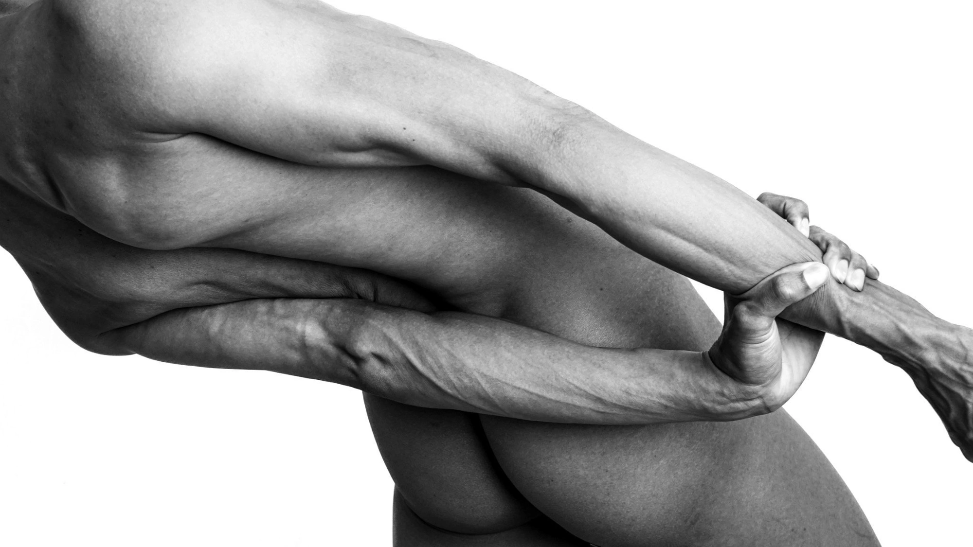 Photography image titled DSC04584