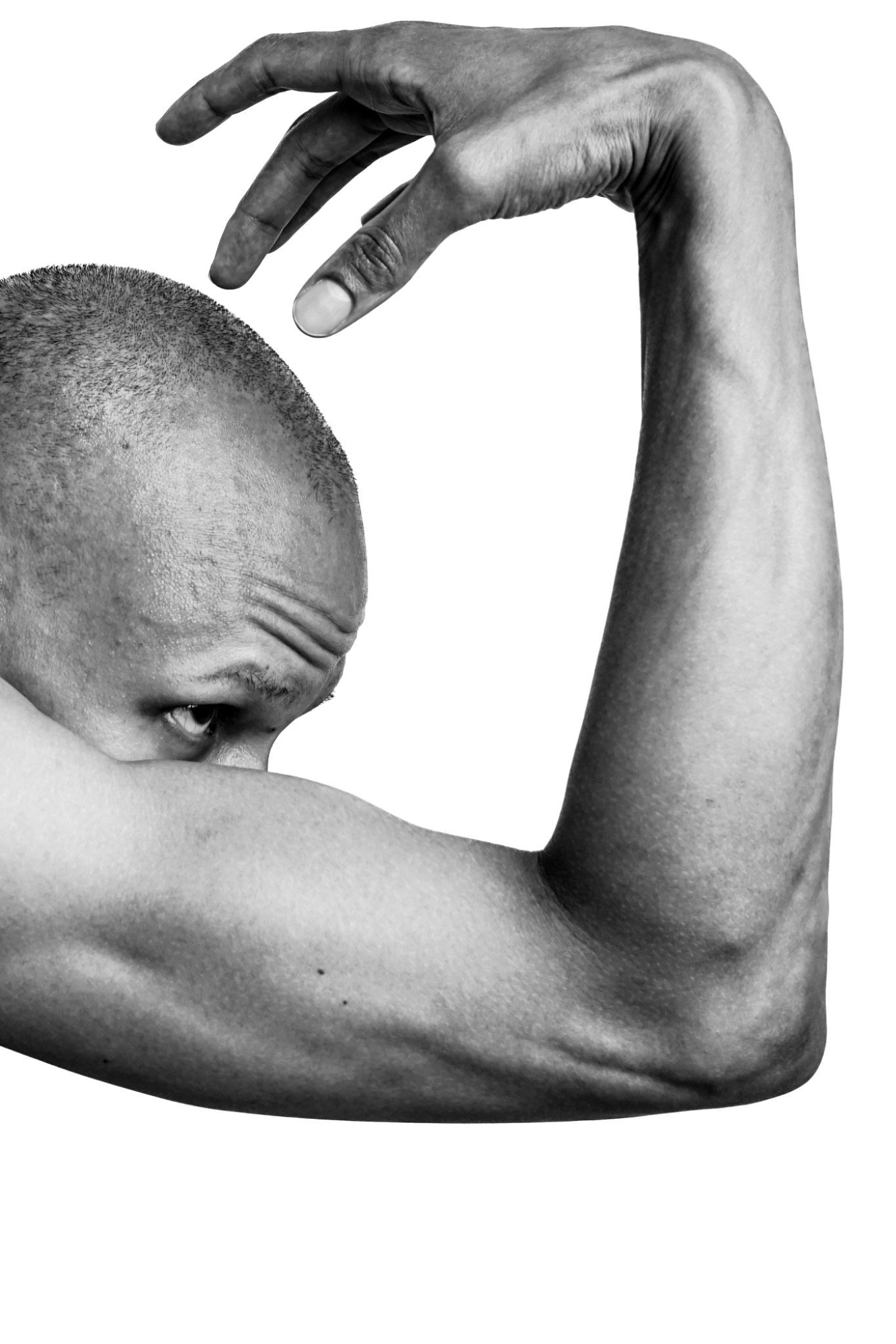 Photography image titled DSC04588