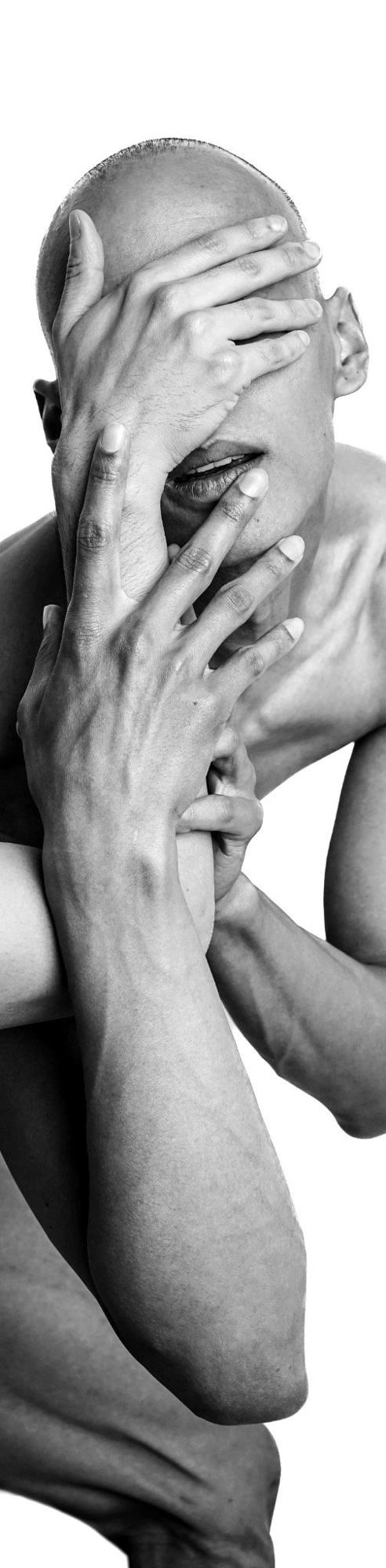 Photography image titled DSC04670