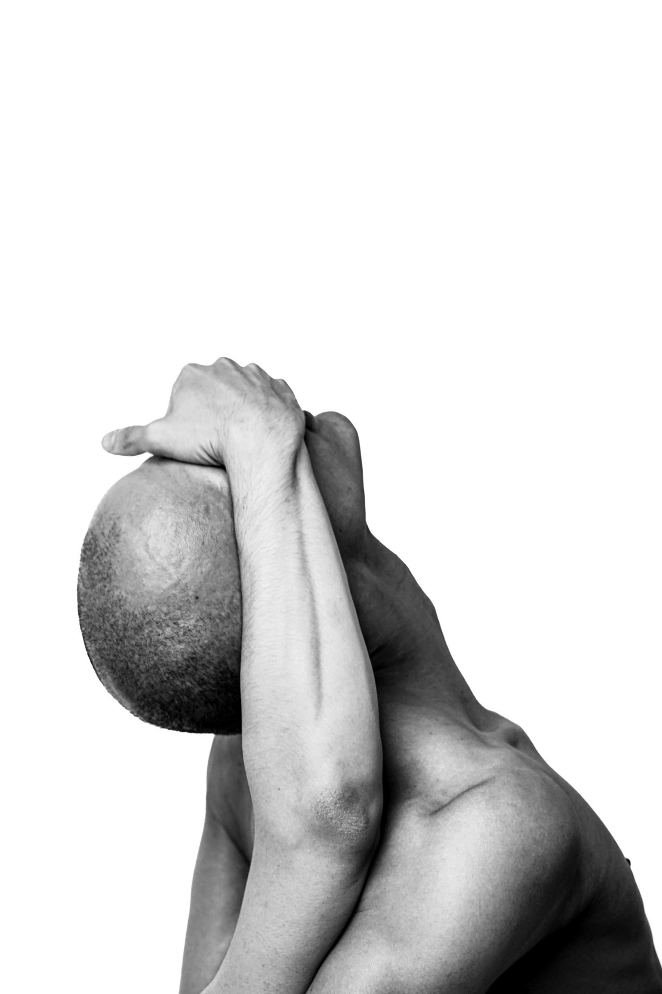 Photography image titled DSC04677