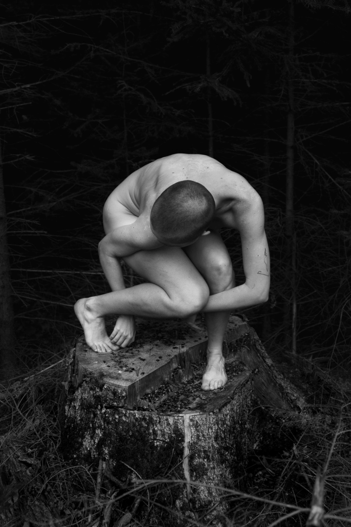 Photography image titled DSC05151