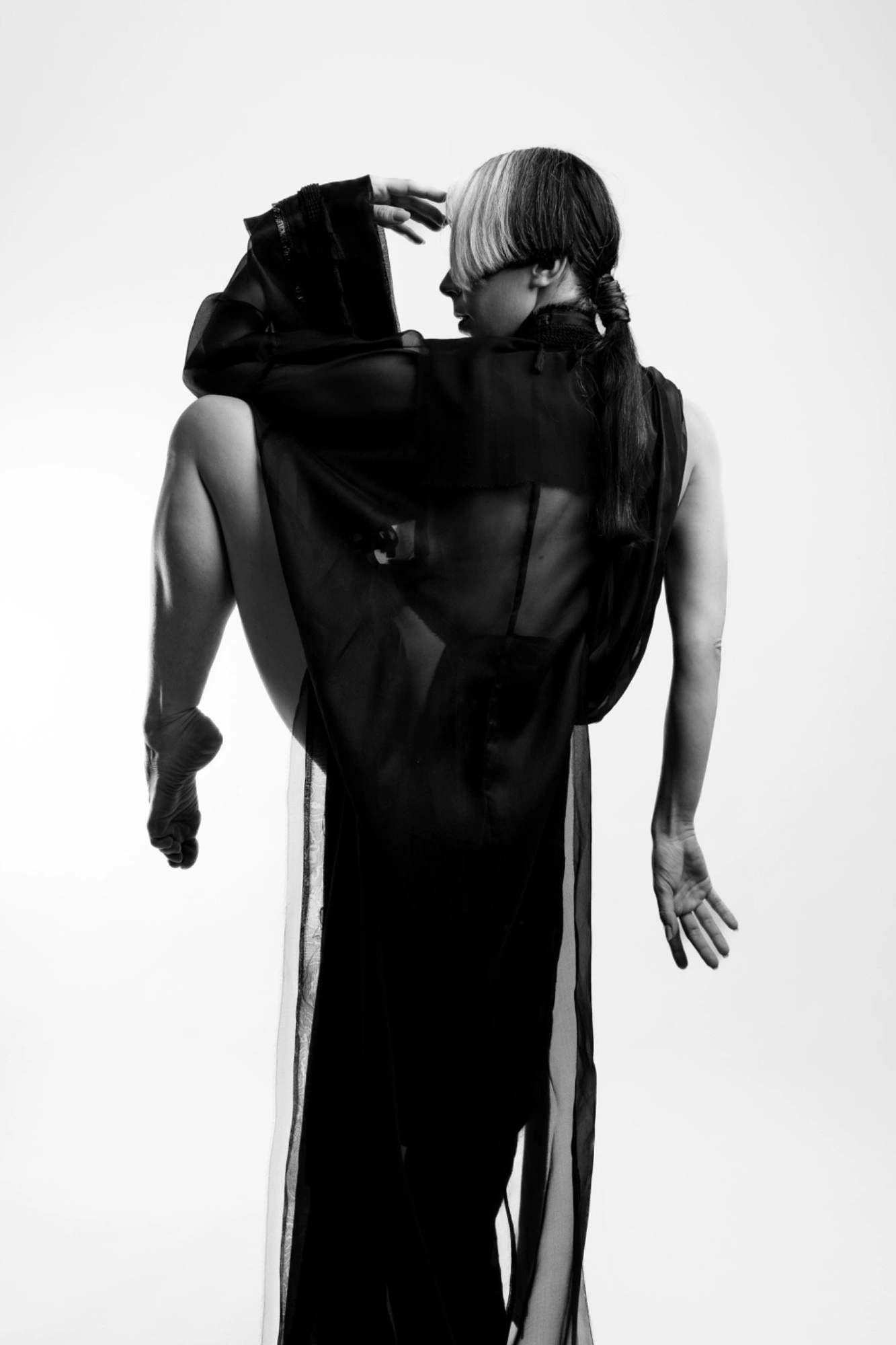 Photography image titled DSC09126