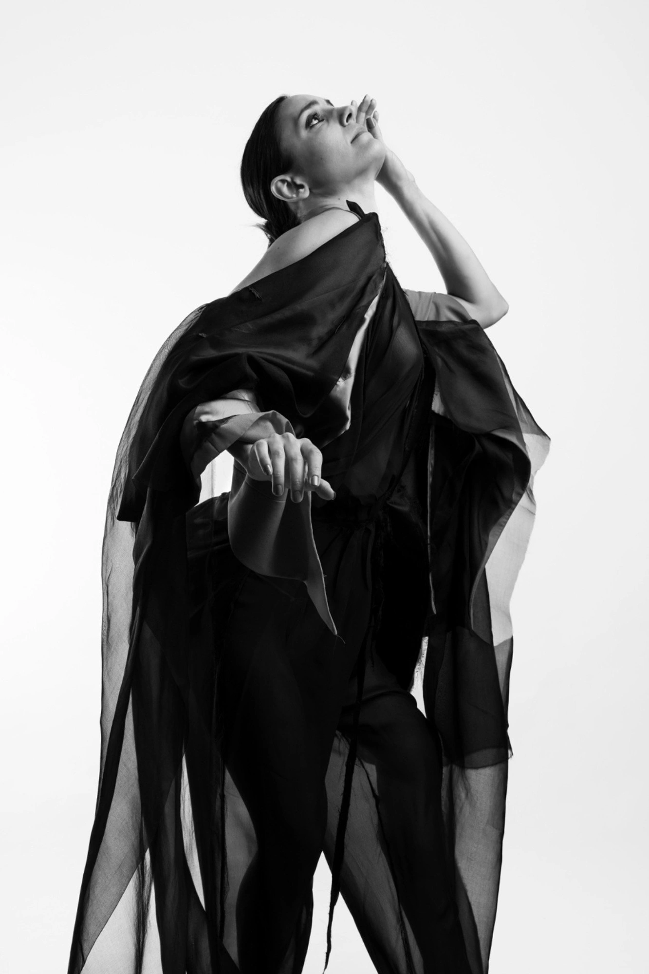 Photography image titled DSC09618