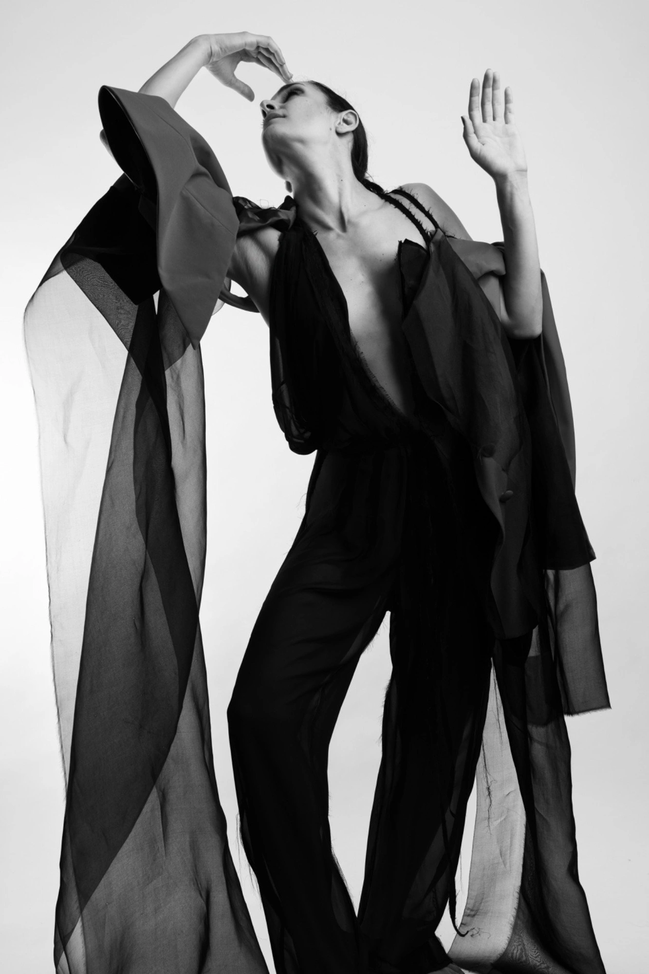 Photography image titled DSC09634